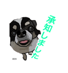 ペロちゃんと！❹（個別スタンプ：1）