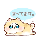 もふもふポメラニアンのるうちゃん（個別スタンプ：5）