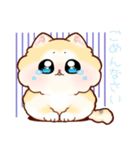 もふもふポメラニアンのるうちゃん（個別スタンプ：8）