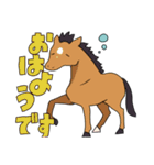 お馬さん一家（個別スタンプ：1）