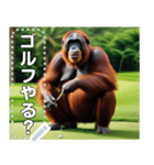 ゴルフをするオランウータン♡文字変更自由（個別スタンプ：2）