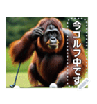 ゴルフをするオランウータン♡文字変更自由（個別スタンプ：5）