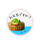 可愛いカエル達（個別スタンプ：3）