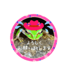 可愛いカエル達（個別スタンプ：5）