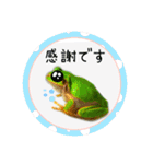 可愛いカエル達（個別スタンプ：7）