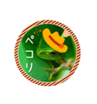 可愛いカエル達（個別スタンプ：8）