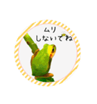 可愛いカエル達（個別スタンプ：14）