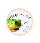 可愛いカエル達（個別スタンプ：17）