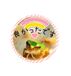 可愛いカエル達（個別スタンプ：18）