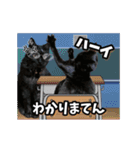 動く黒猫ハルトとロビン3（個別スタンプ：18）