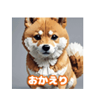 柴犬会話01（個別スタンプ：6）