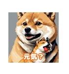 柴犬会話01（個別スタンプ：11）