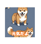 柴犬会話01（個別スタンプ：12）