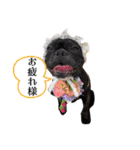 フレブル桃花のスタンプ（個別スタンプ：12）