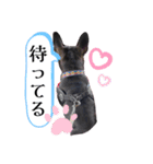 フレブル桃花のスタンプ（個別スタンプ：22）