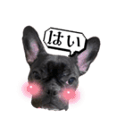 フレブル桃花のスタンプ（個別スタンプ：23）