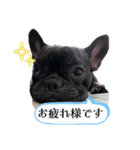 フレブル桃花のスタンプ（個別スタンプ：31）