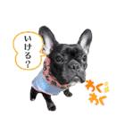 フレブル桃花のスタンプ（個別スタンプ：33）
