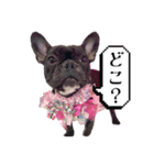 フレブル桃花のスタンプ（個別スタンプ：36）