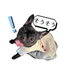 フレブル桃花のスタンプ（個別スタンプ：37）