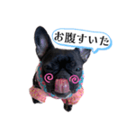 フレブル桃花のスタンプ（個別スタンプ：40）