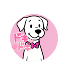 ピンク犬 JOJO（個別スタンプ：9）