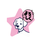 ピンク犬 JOJO（個別スタンプ：12）