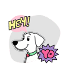 ピンク犬 JOJO（個別スタンプ：16）