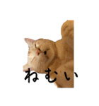 かさい家の猫たち②（個別スタンプ：22）