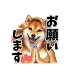 柴犬だもの.（個別スタンプ：6）