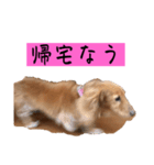 ちょこっとチョコスタ！✨ 第3弾（個別スタンプ：6）