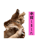 ちょこっとチョコスタ！✨ 第3弾（個別スタンプ：16）