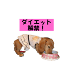 ちょこっとチョコスタ！✨ 第3弾（個別スタンプ：21）