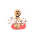 ライビルスタンプ（個別スタンプ：2）