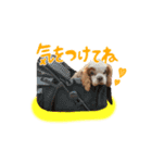 ライビルスタンプ（個別スタンプ：3）