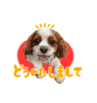 ライビルスタンプ（個別スタンプ：7）