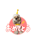 ライビルスタンプ（個別スタンプ：10）