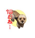 ライビルスタンプ（個別スタンプ：11）
