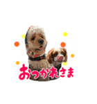 ライビルスタンプ（個別スタンプ：12）