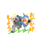 ライビルスタンプ（個別スタンプ：13）