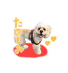 ライビルスタンプ（個別スタンプ：14）