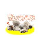 ライビルスタンプ（個別スタンプ：15）
