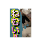 ほぼほぼほぼほぼネコ（個別スタンプ：14）