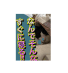ほぼほぼほぼほぼネコ（個別スタンプ：16）