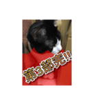 ほぼほぼほぼほぼネコ（個別スタンプ：24）