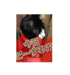 ほぼほぼほぼほぼネコ（個別スタンプ：32）