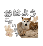 にこのスタンプの巻（個別スタンプ：1）