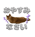 にこのスタンプの巻（個別スタンプ：4）