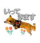 にこのスタンプの巻（個別スタンプ：6）