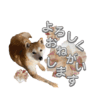 にこのスタンプの巻（個別スタンプ：18）